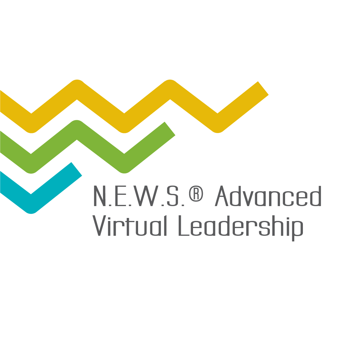 Advanced Virtual Leadership