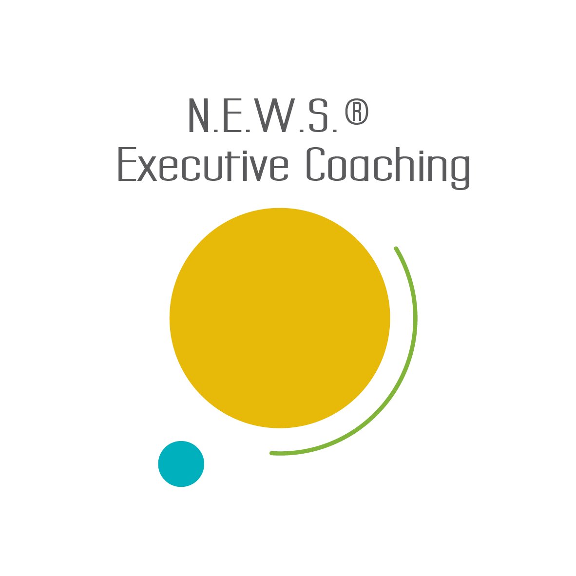 N.E.W.S.® Executive Coaching