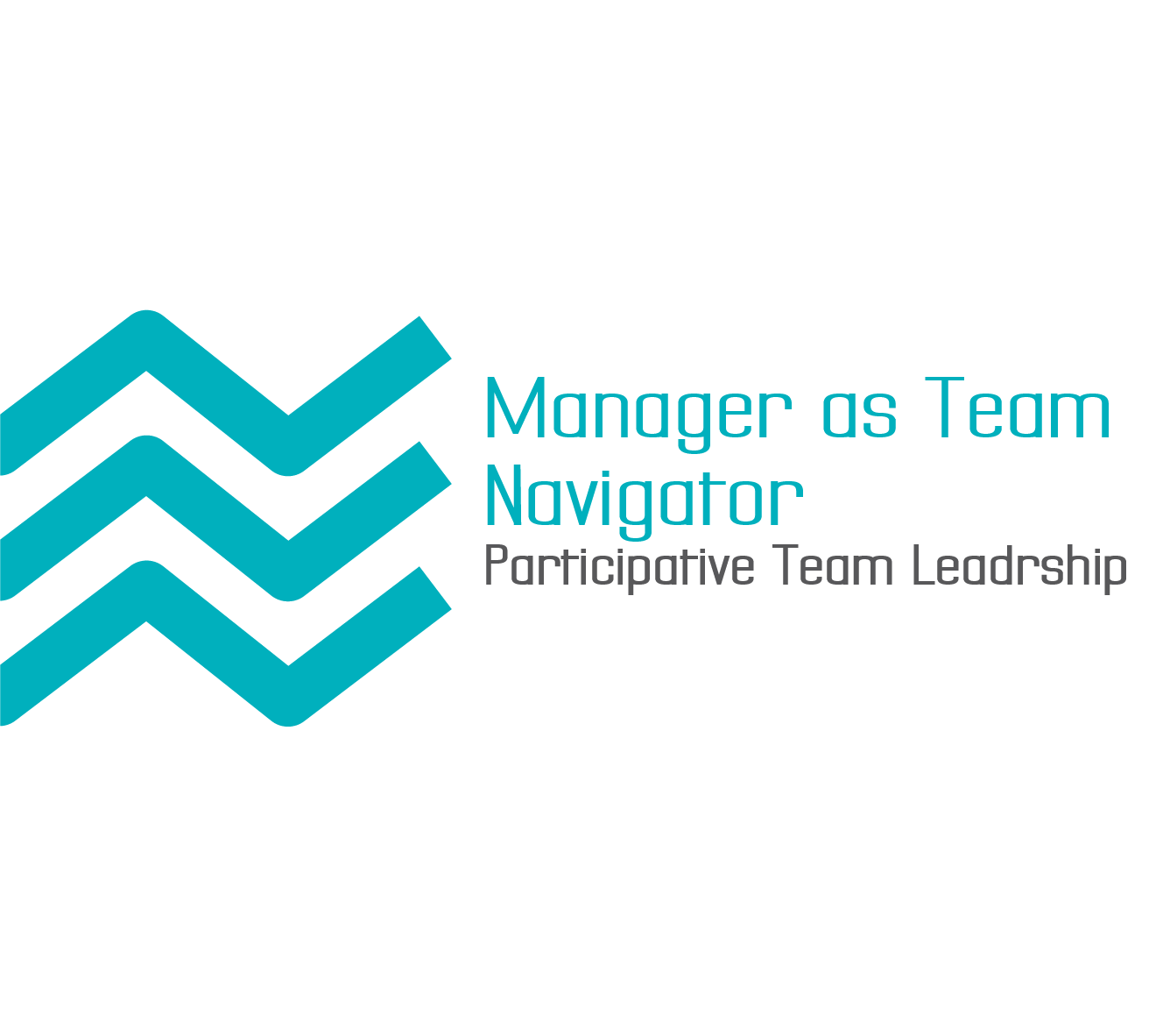 Manager As a Team Navigator