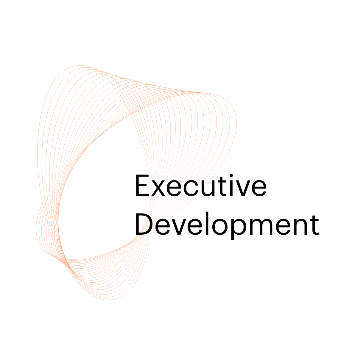 Executive Development