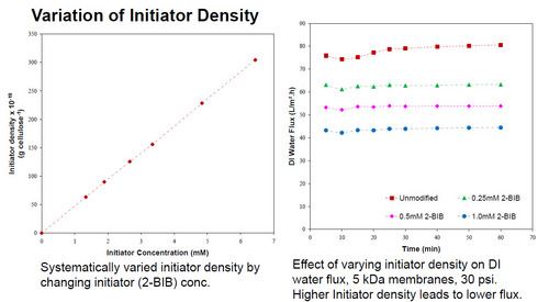 Variation of Initiator Density