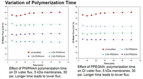 Variation of Polymerization Time