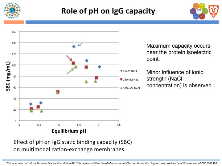 Role of pH on IgG Capacity