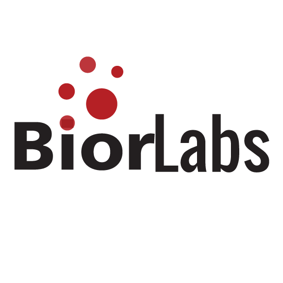 Bior Inc - Pharmaceutical Simulation 